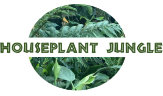 Houseplant Jungle logo